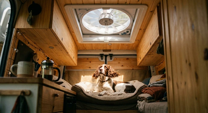 Camperinterieur hond met verluchting